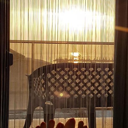Apartament Andy Mamaia Nord 30 M De Plaja Navodari Dış mekan fotoğraf
