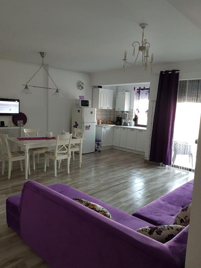 Apartament Andy Mamaia Nord 30 M De Plaja Navodari Dış mekan fotoğraf